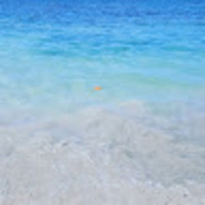 Meet your Posher, Gianni